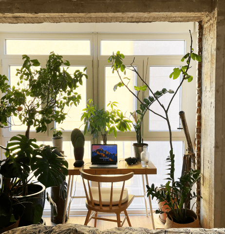 Diseño de interiores enfatizando la luz natural